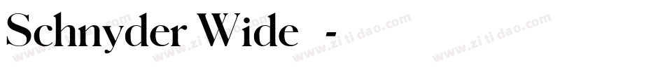 Schnyder Wide 字体字体转换